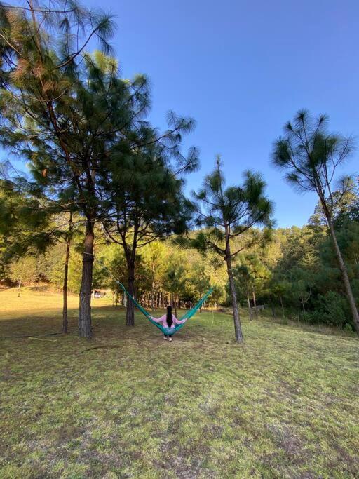 Habitacion Rancho Las Moras San Mateo Rio Hondo ภายนอก รูปภาพ